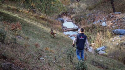 KÜTAHYA (AA) – Kütahya'nın Domaniç ilçesinde yaklaşık 2 yıl önce