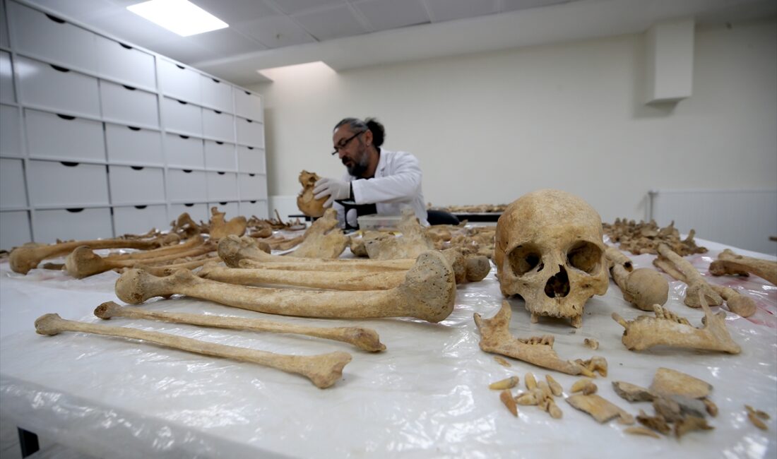 - Muş Alparslan Üniversitesindeki Antropoloji Laboratuvarı'nda, 72 insan iskeleti üzerinde