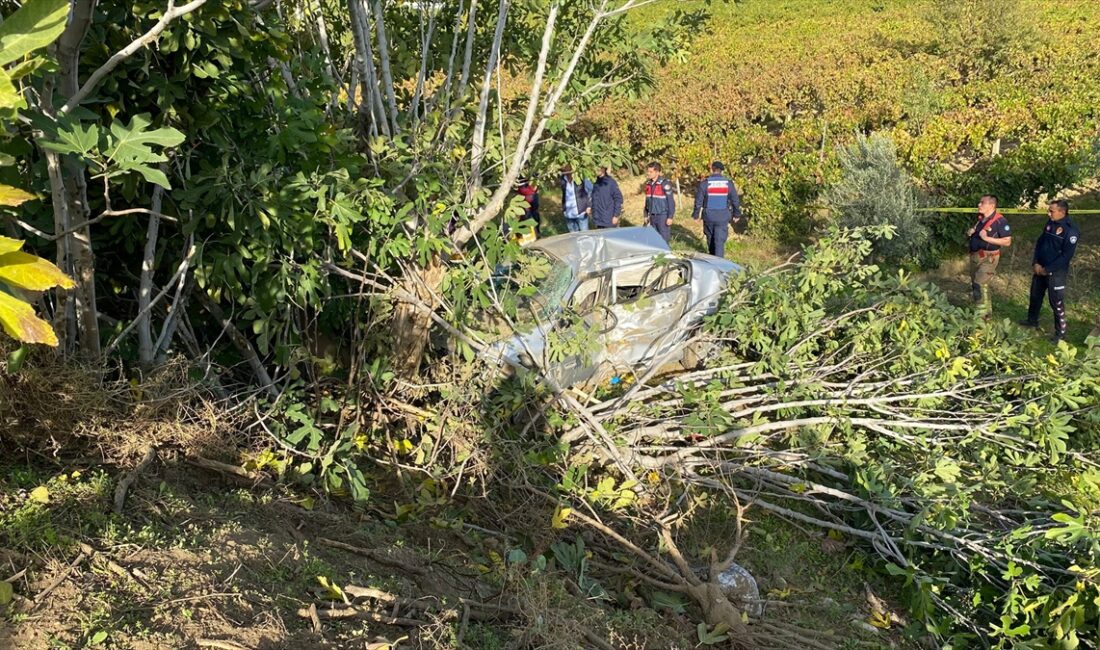 MANİSA (AA) – Manisa'nın Sarıgöl ilçesinde devrilen otomobilin sürücüsü hayatını