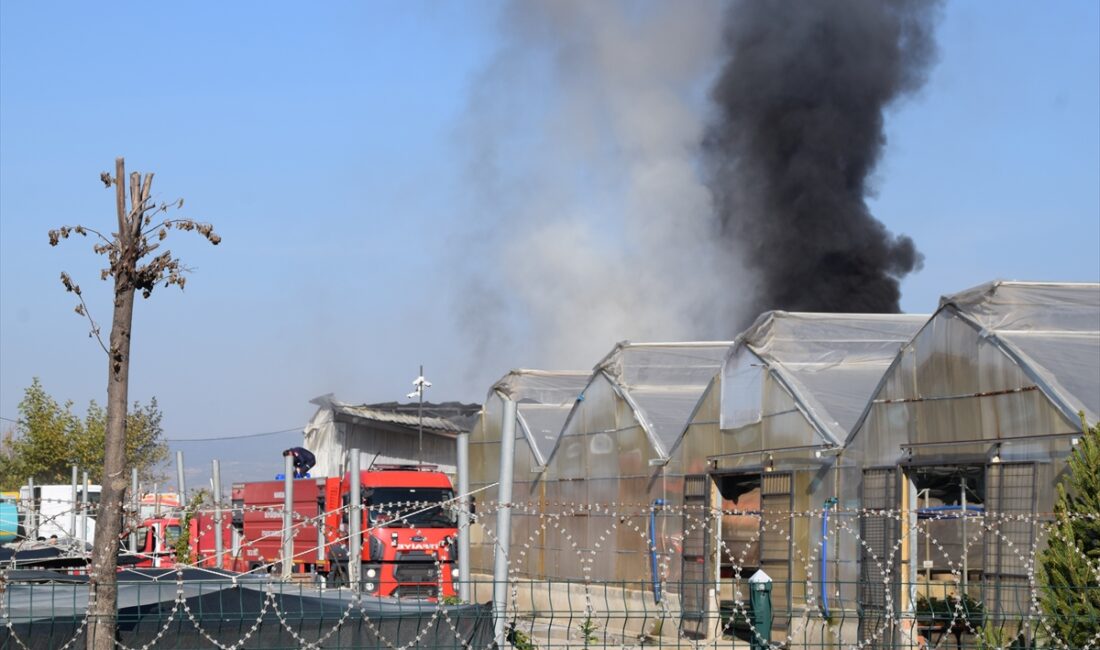 MANİSA (AA) – Manisa'nın Şehzadeler ilçesinde serada çıkan yangın itfaiye