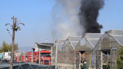 MANİSA (AA) – Manisa'nın Şehzadeler ilçesinde serada çıkan yangın itfaiye