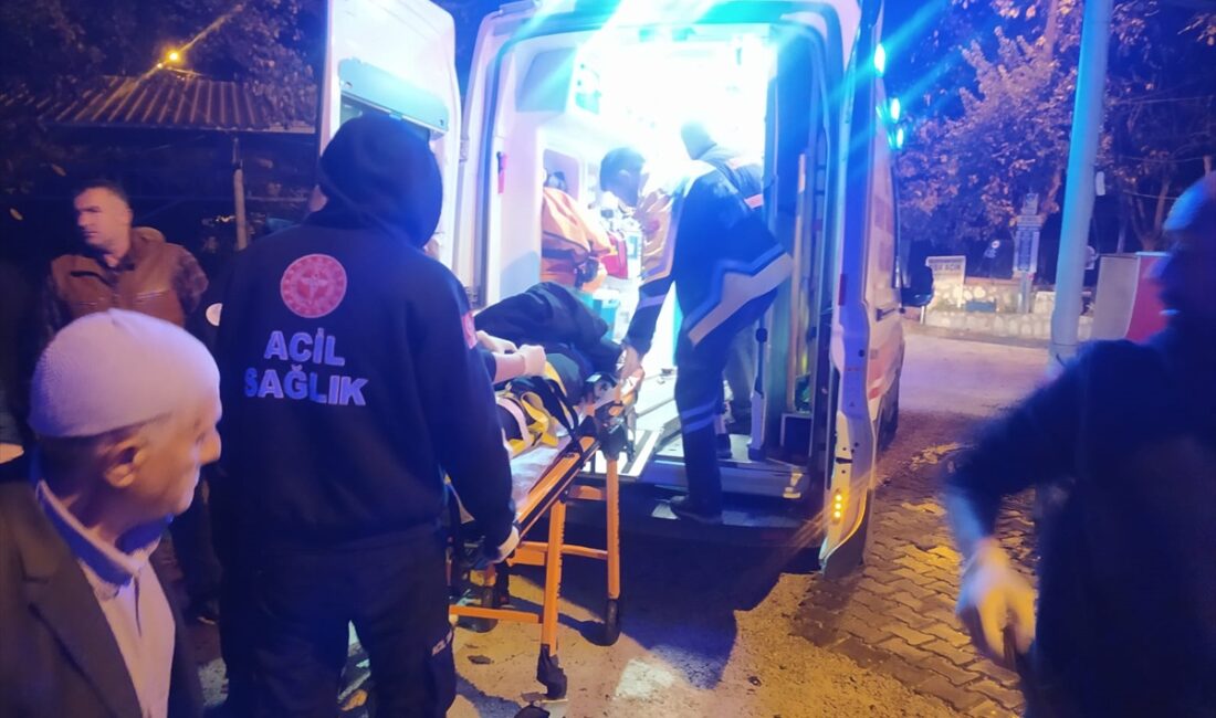 MARDİN (AA) – Mardin'in Nusaybin ilçesinde devrilen pikaptaki 2'si çocuk