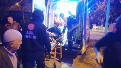 MARDİN (AA) – Mardin'in Nusaybin ilçesinde devrilen pikaptaki 2'si çocuk