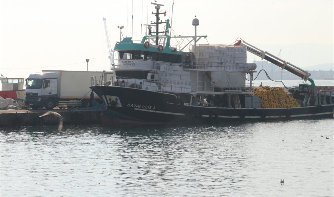 TEKİRDAĞ (AA) – Marmara Denizi'nde yaşanan balık bolluğu nedeniyle çevre