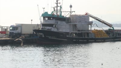 TEKİRDAĞ (AA) – Marmara Denizi'nde yaşanan balık bolluğu nedeniyle çevre