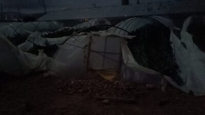 MERSİN (AA) – Mersin'in Bozyazı ilçesinde meydana gelen hortum nedeniyle