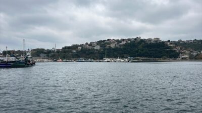 - Poyraz Mahallesi'nin muhtarı Mehmet Kalafat:
- "Burada aşağı yukarı herkes