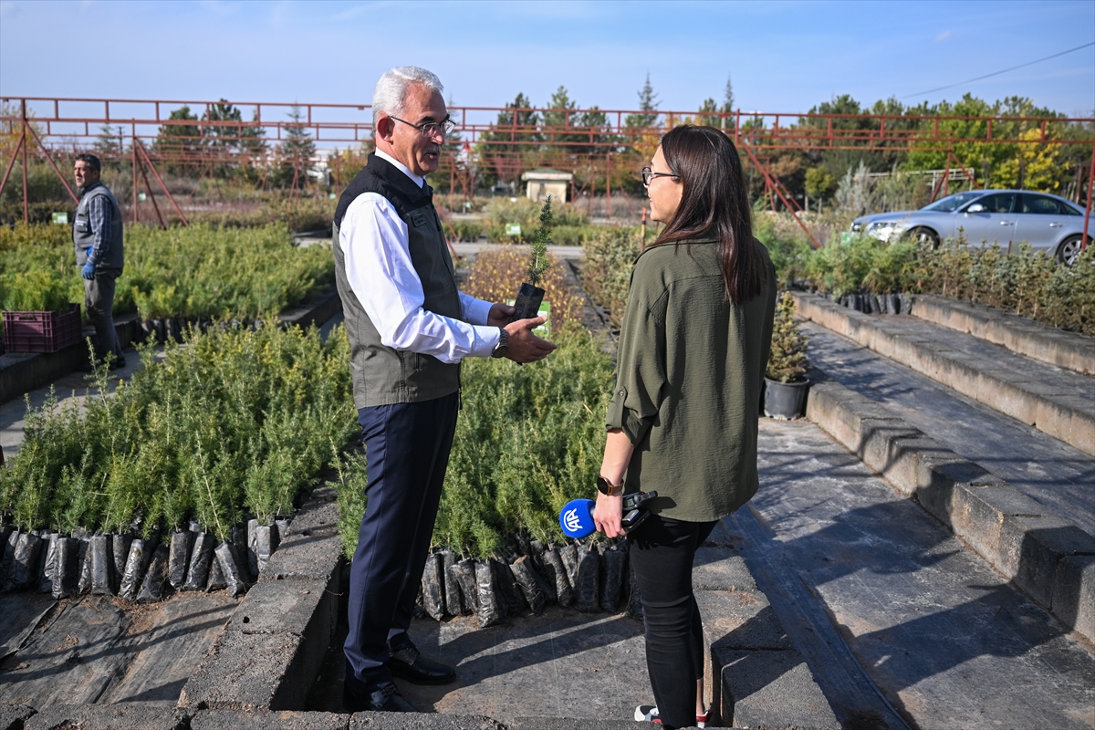 - Orman Genel Müdürü Bekir Karacabey:
- "Fidan sahiplenmede Çanakkale, Niğde,
