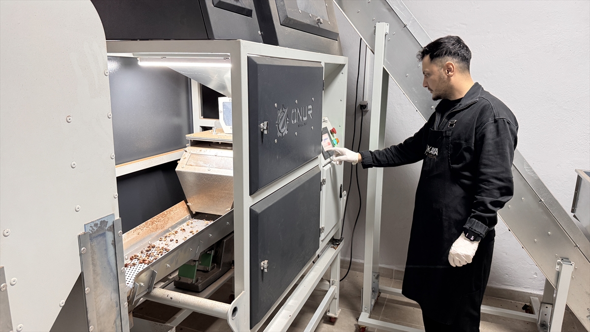 - Zonguldak'ta dededen kalma dükkanı modern makinelerle üretim hattına dönüştüren