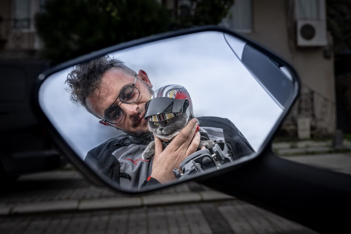 - Muğla'nın Fethiye ilçesinde sahibiyle motosikletle gezmeye alışan kedi, bu