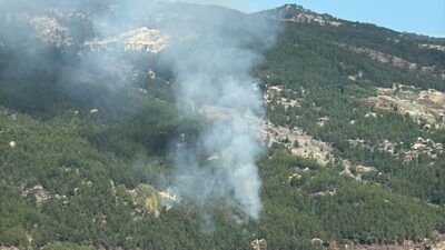 MUĞLA (AA) – Muğla'nın Kavaklıdere ilçesinde ormanlık alanda çıkan yangına