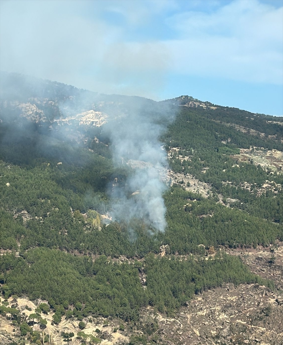 MUĞLA (AA) – Muğla'nın Kavaklıdere ilçesinde ormanlık alanda çıkan yangına