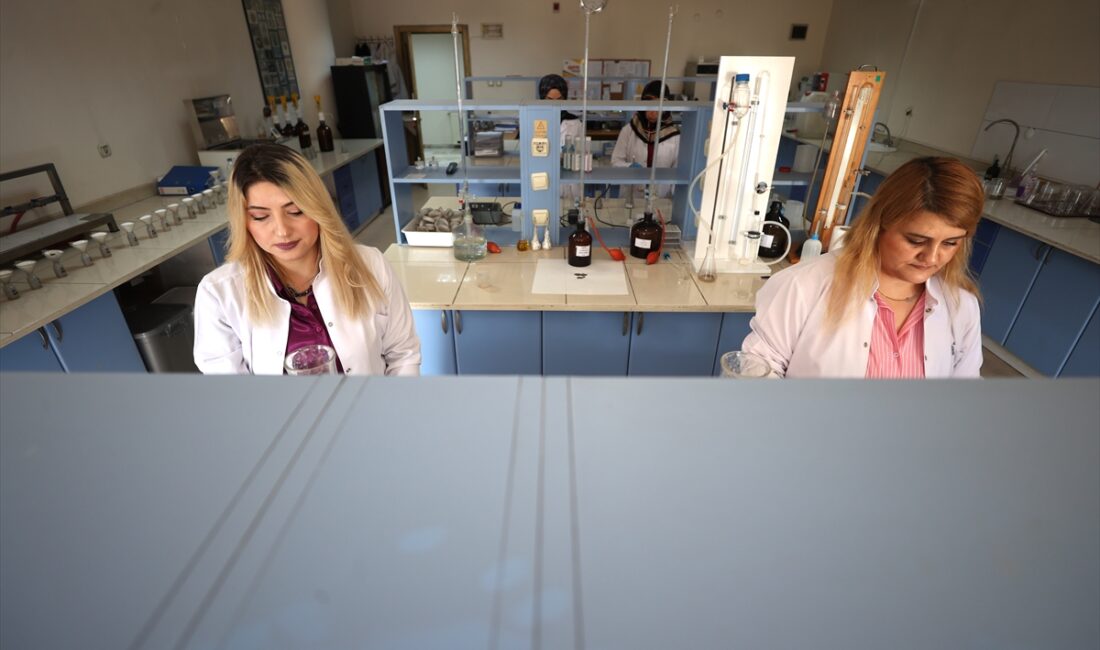 - Kentte 2003 yılında kurulan Toprak Analiz Laboratuvarı'nda yapılan çalışmalar,