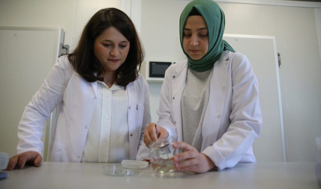 - Niğde Ömer Halisdemir Üniversitesinde geliştirilen tohum kaplama malzemesinde doğal