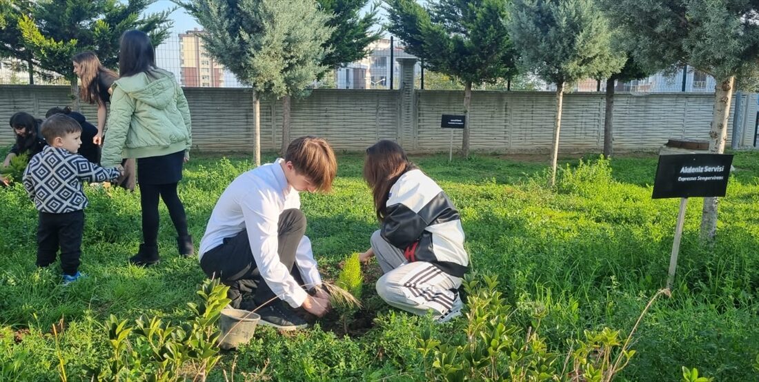 ANKARA (AA) – Milli Eğitim Bakanlığına (MEB) bağlı 81 ildeki