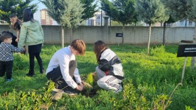 ANKARA (AA) – Milli Eğitim Bakanlığına (MEB) bağlı 81 ildeki