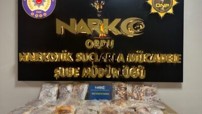 ORDU (AA) – Ordu'nun Altınordu ilçesinde bir otomobilin yolcu ve