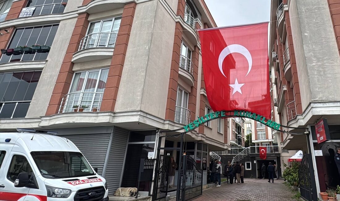 İSTANBUL (AA) – Gürcistan-Azerbaycan sınırında düşen C130 tipi askeri kargo