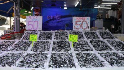 RİZE (AA) – Rize'de balıkçı tezgahlarında hamsinin kilogramı 50 liradan