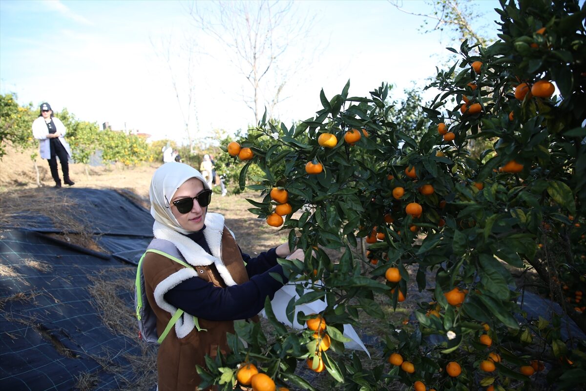 RİZE (AA) – Rize'de, Recep Tayyip Erdoğan Üniversitesince "Haydi Hep