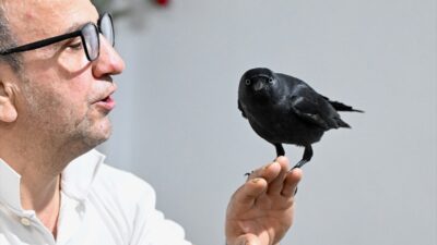 - Düzce'de kızının çalıştığı iş yerinde aracının üzerine konarak evine