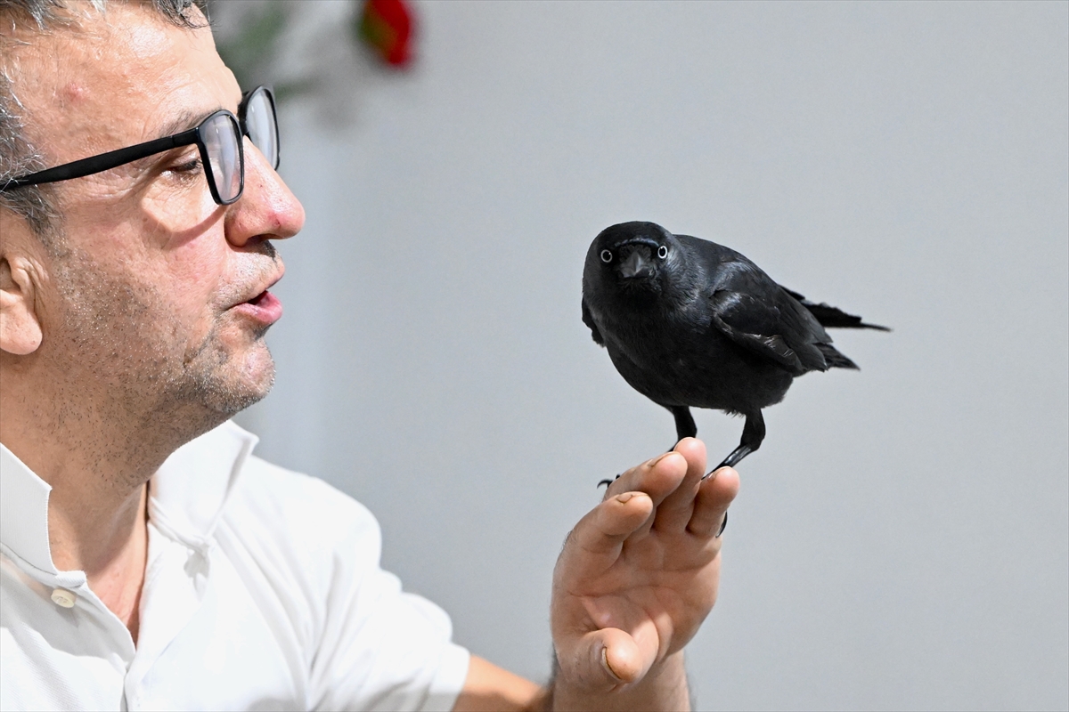 - Düzce'de kızının çalıştığı iş yerinde aracının üzerine konarak evine