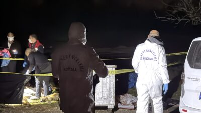 SAMSUN (AA) – Samsun'un İlkadım ilçesinde 9 köpeğin ölü bulunmasıyla