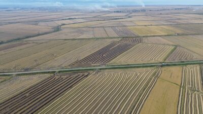 SAMSUN (AA) – Samsun'da gerçekleştirilen çeltik hasadında sona yaklaşıldı. Bafra