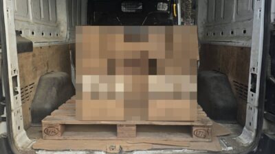 SAMSUN (AA) – Samsun'un İlkadım ilçesinde düzenlenen operasyonda sahte kuru