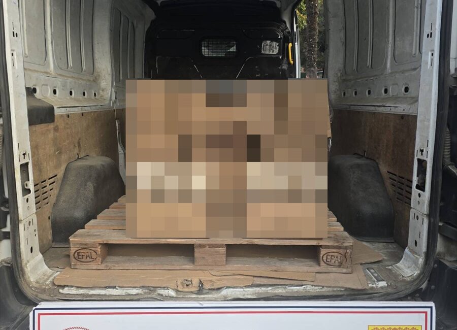 SAMSUN (AA) – Samsun'un İlkadım ilçesinde düzenlenen operasyonda sahte kuru