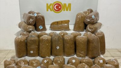SAMSUN (AA) – Samsun'da tırda 215 kilogram kaçak tütün ele
