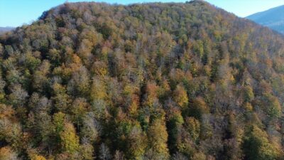 SAMSUN (AA) – Samsun'un Bafra ilçesinde yer alan ve yaz