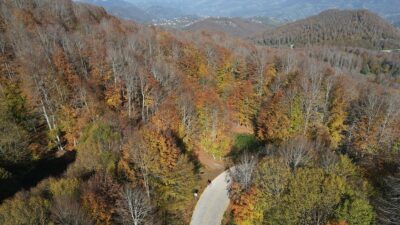 SAMSUN (AA) – Samsun'un 19 Mayıs ilçesindeki Nebiyan Dağı'nda güz