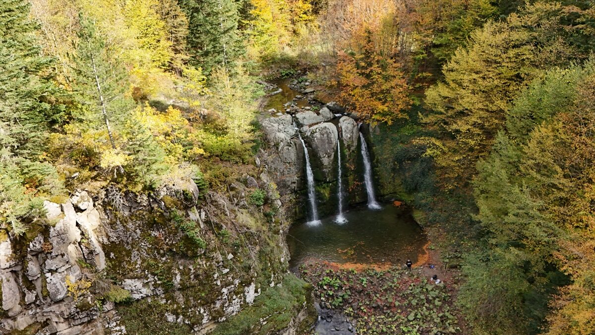 - Alaçam Belediye Başkanı Ramazan Özdemir:
- "Bölgeyle ilgili çalışmalarımız devam