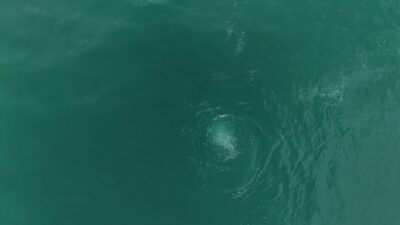 - Sakarya Üniversitesi Jeofizik Mühendisliği Bölümü Başkanı Prof. Dr. Murat