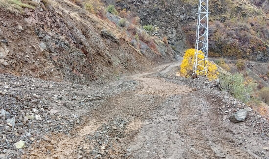 SİİRT (AA) – Siirt'in Pervari ilçesinde heyelandan kapanan köy yolu