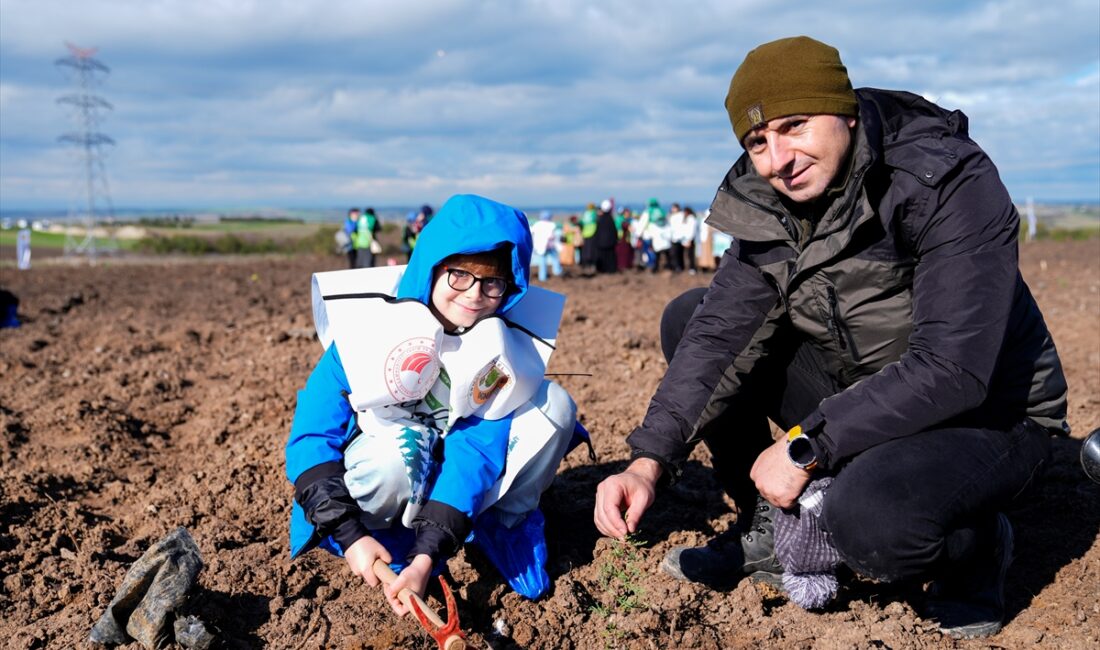 İSTANBUL (AA) – 11 Kasım Milli Ağaçlandırma Günü kapsamında Silivri'de