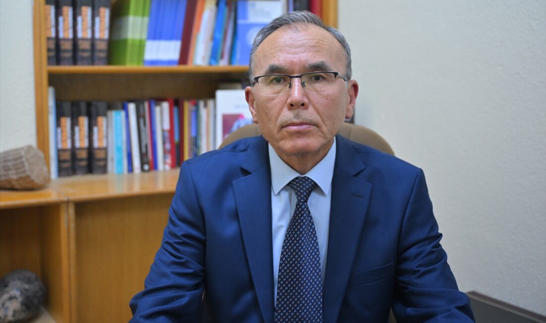 - Afet Yönetimi Uzmanı Doç. Dr. Bülent Özmen:
- "Bölgede yalnızca