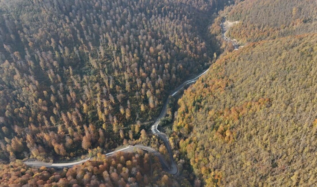 SİNOP (AA) – Sinop'un Türkeli ilçesinde ormanlık alanlar, sonbaharın gelişiyle