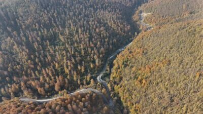 SİNOP (AA) – Sinop'un Türkeli ilçesinde ormanlık alanlar, sonbaharın gelişiyle