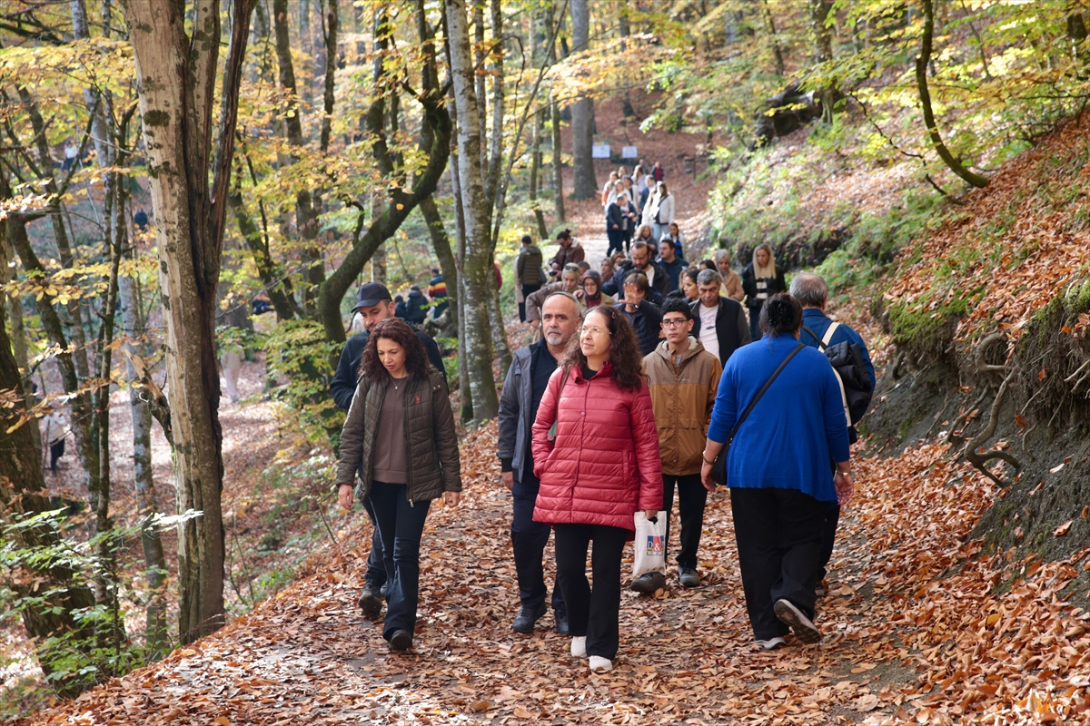 BOLU (AA) – Sonbaharda yeşil, sarı, kahverengi ve kızılın tonlarıyla
