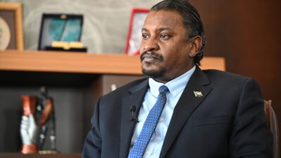 - "Şu anda hükümetin sadece insani yardım alanında değil, iyileşme