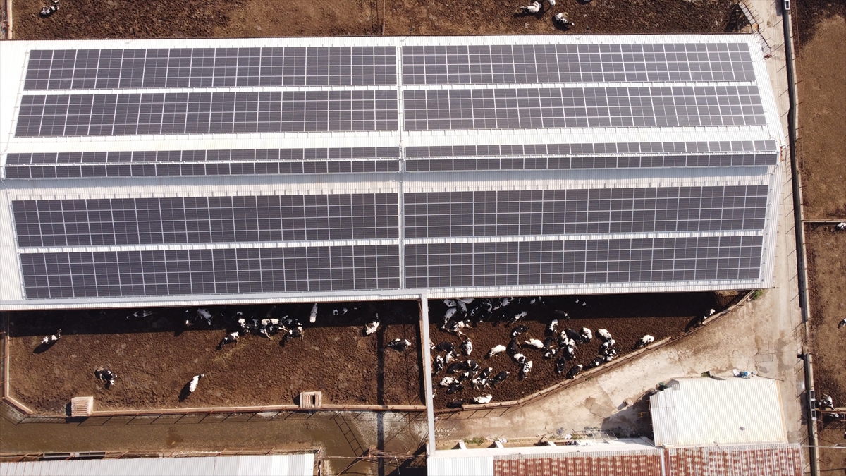 - Tarım Orman Gençlik Konseyi Başkanı Enderay Bozbay:
- "Sahada yaşanan