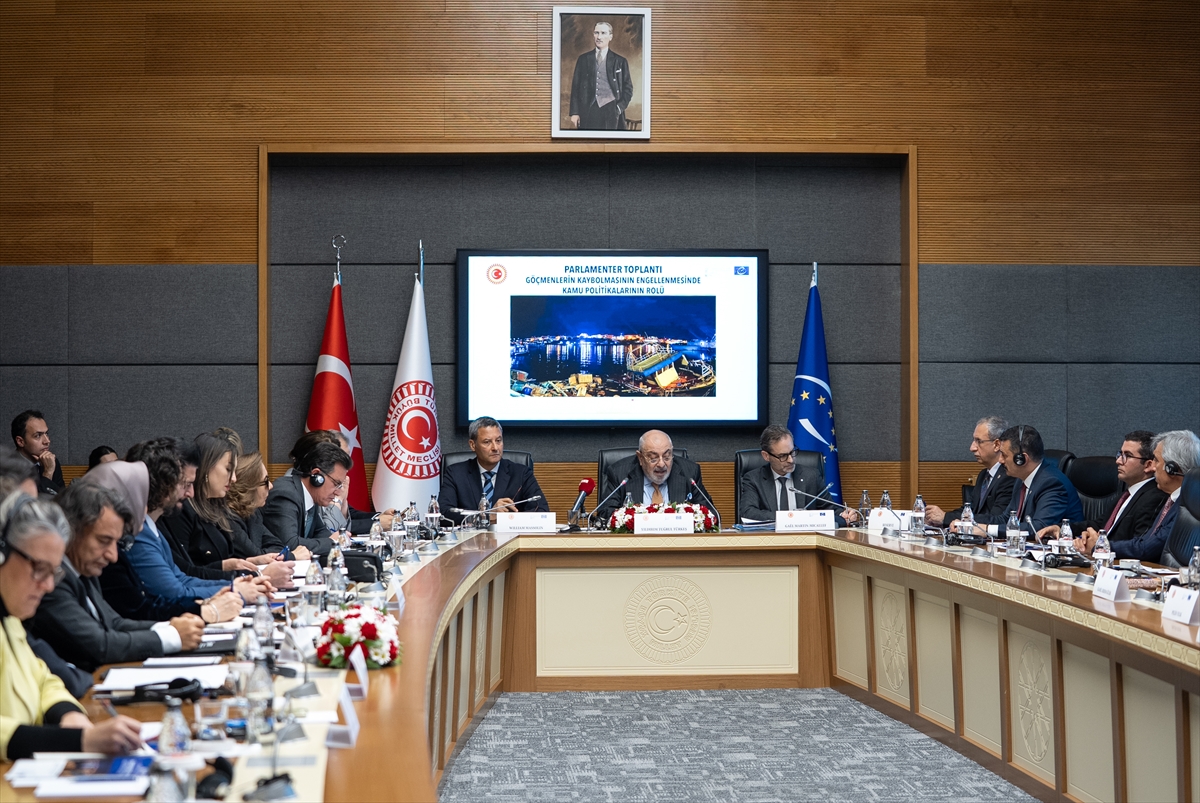 - Avrupa Konseyi Parlamenter Meclisi Türk Delegasyonu Başkanı ve AK