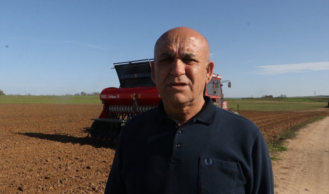 - Bölgede giderek artan kuraklığa karşı dayanıklı olduğu belirtilen nohutun,