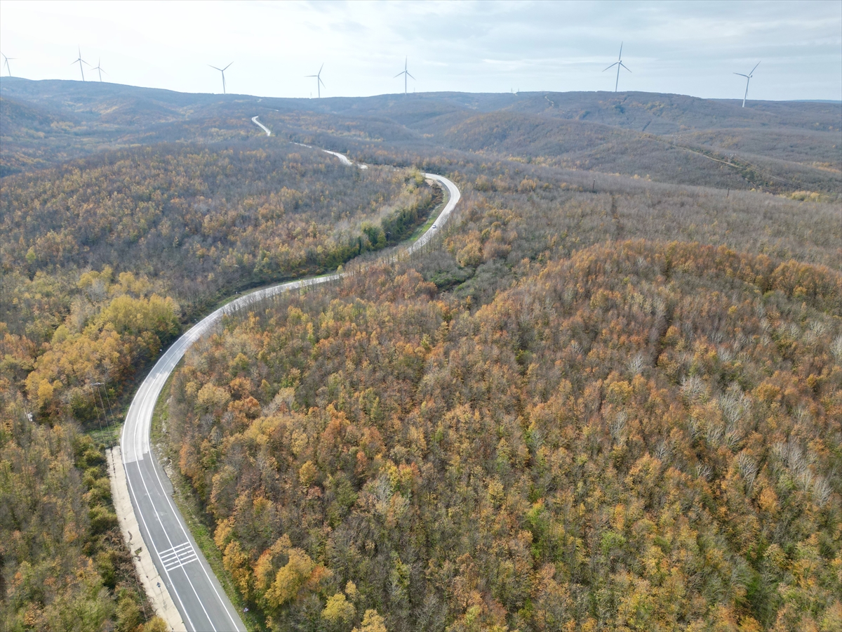TEKİRDAĞ (AA) – Tekirdağ'ın Saray ilçesinde sonbaharın gelişiyle ormanlar sarı