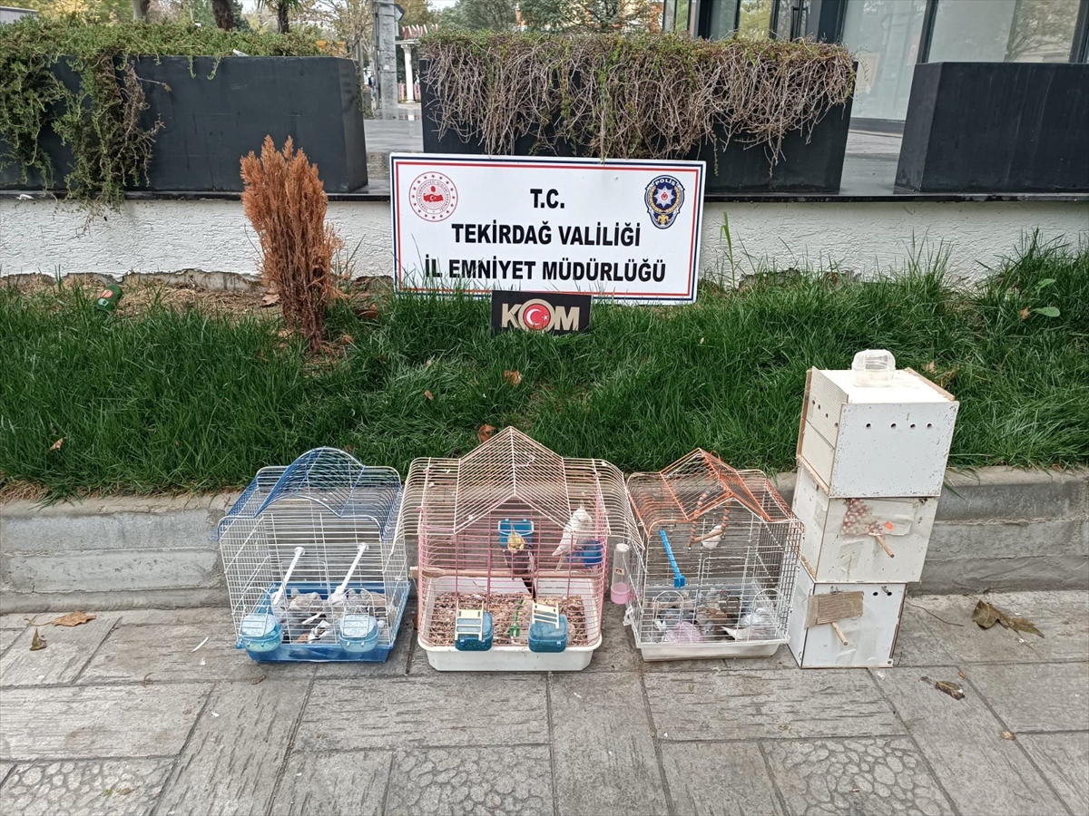 TEKİRDAĞ (AA) – Tekirdağ'da yasa dışı yollarla yurda getirildiği belirlenen