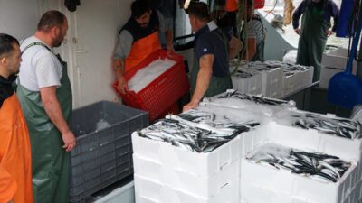 TEKİRDAĞ (AA) – Tekirdağ'da 3 gündür etkili olan lodosun dinmesiyle