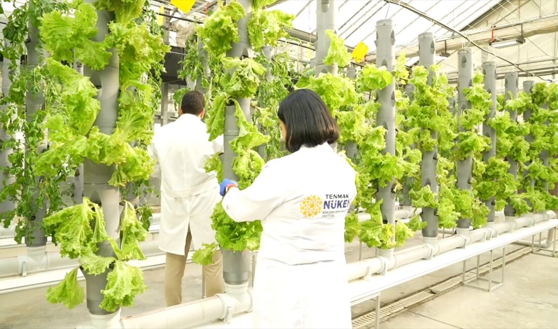 ANKARA (AA) – Türkiye Enerji, Nükleer ve Maden Araştırma Kurumu