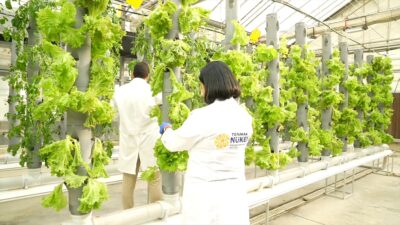 ANKARA (AA) – Türkiye Enerji, Nükleer ve Maden Araştırma Kurumu